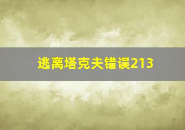 逃离塔克夫错误213