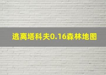 逃离塔科夫0.16森林地图