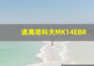 逃离塔科夫MK14EBR