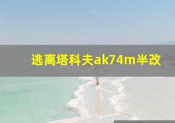 逃离塔科夫ak74m半改