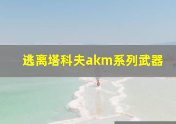 逃离塔科夫akm系列武器