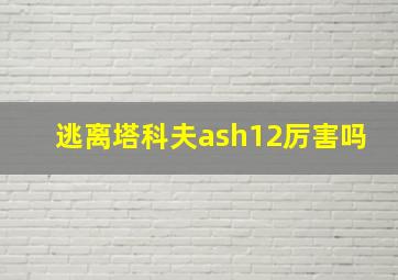 逃离塔科夫ash12厉害吗