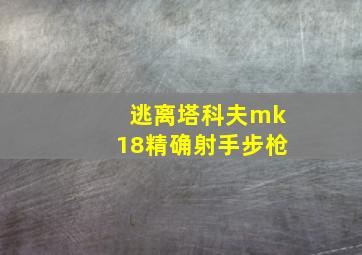 逃离塔科夫mk18精确射手步枪