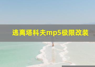 逃离塔科夫mp5极限改装