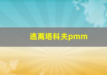 逃离塔科夫pmm