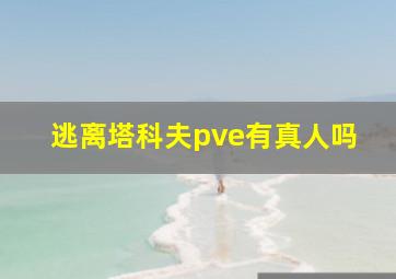 逃离塔科夫pve有真人吗