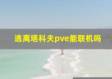 逃离塔科夫pve能联机吗