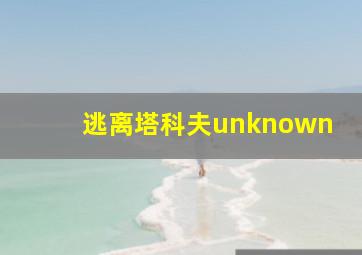 逃离塔科夫unknown