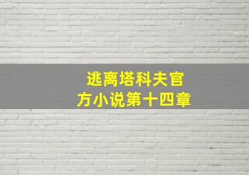 逃离塔科夫官方小说第十四章