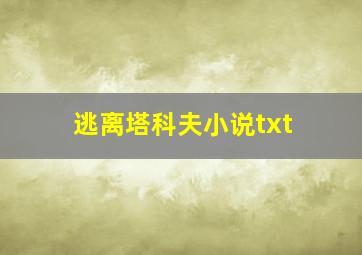 逃离塔科夫小说txt