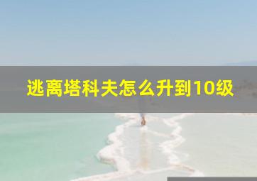 逃离塔科夫怎么升到10级