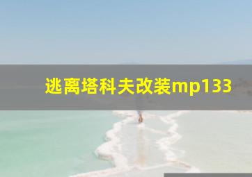 逃离塔科夫改装mp133