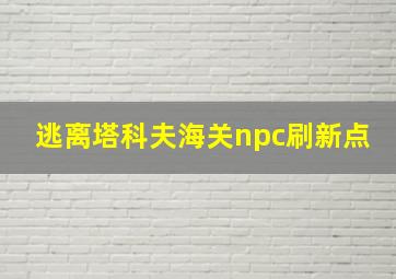 逃离塔科夫海关npc刷新点