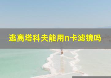 逃离塔科夫能用n卡滤镜吗