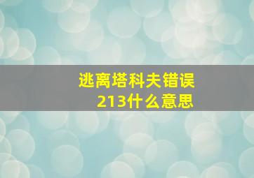 逃离塔科夫错误213什么意思