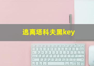 逃离塔科夫黑key