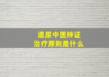 遗尿中医辨证治疗原则是什么