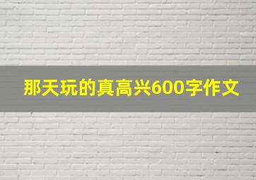 那天玩的真高兴600字作文