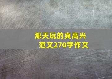 那天玩的真高兴范文270字作文