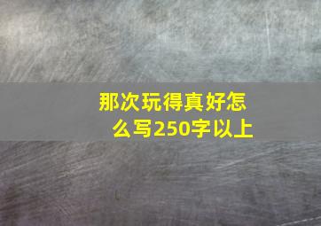 那次玩得真好怎么写250字以上