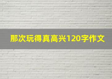 那次玩得真高兴120字作文