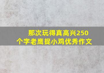 那次玩得真高兴250个字老鹰捉小鸡优秀作文