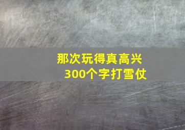 那次玩得真高兴300个字打雪仗