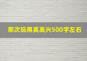 那次玩得真高兴500字左右