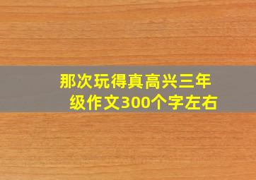 那次玩得真高兴三年级作文300个字左右