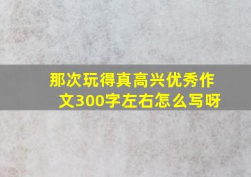 那次玩得真高兴优秀作文300字左右怎么写呀