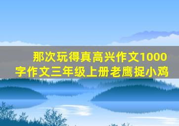 那次玩得真高兴作文1000字作文三年级上册老鹰捉小鸡