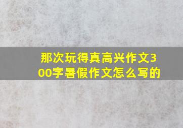 那次玩得真高兴作文300字暑假作文怎么写的