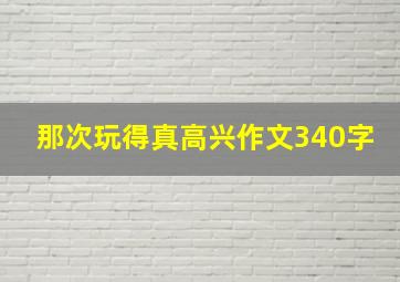 那次玩得真高兴作文340字