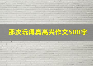 那次玩得真高兴作文500字