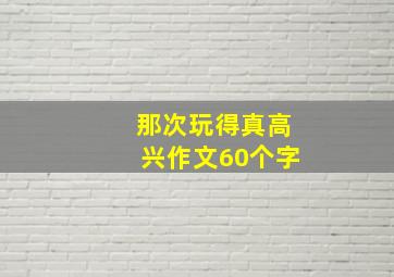 那次玩得真高兴作文60个字