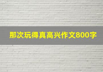 那次玩得真高兴作文800字