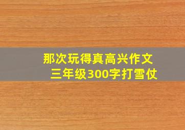 那次玩得真高兴作文三年级300字打雪仗