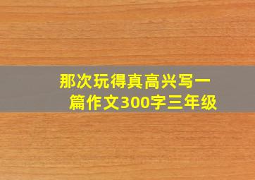 那次玩得真高兴写一篇作文300字三年级