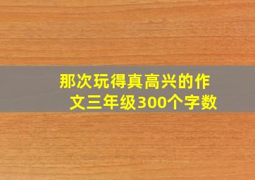 那次玩得真高兴的作文三年级300个字数