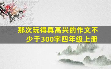 那次玩得真高兴的作文不少于300字四年级上册