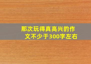 那次玩得真高兴的作文不少于300字左右