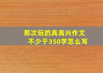 那次玩的真高兴作文不少于350字怎么写