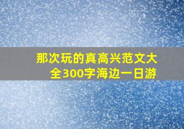 那次玩的真高兴范文大全300字海边一日游