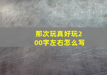 那次玩真好玩200字左右怎么写