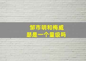 邹市明和梅威瑟是一个量级吗