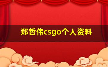 郑哲伟csgo个人资料