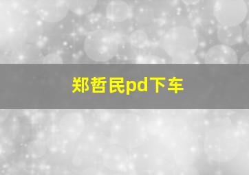 郑哲民pd下车