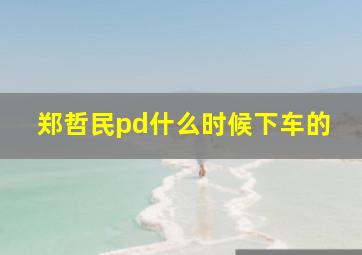 郑哲民pd什么时候下车的