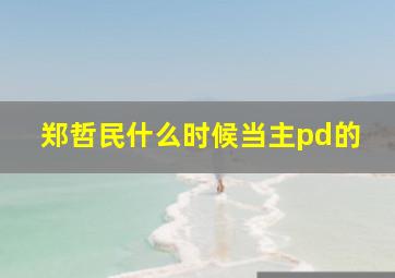 郑哲民什么时候当主pd的