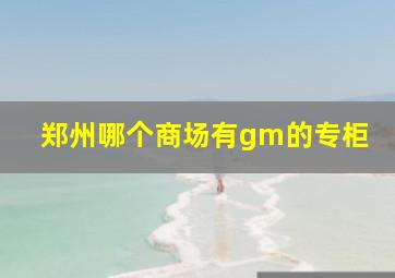 郑州哪个商场有gm的专柜